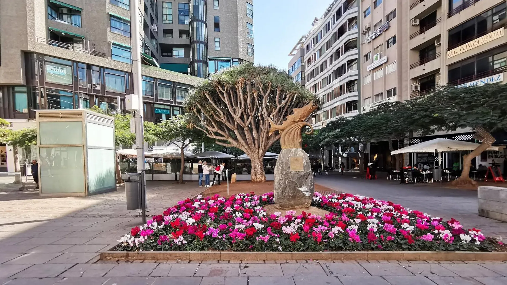 Apartment Home2Book Vibrant & Trendy Apt Santa Cruz Center Spain